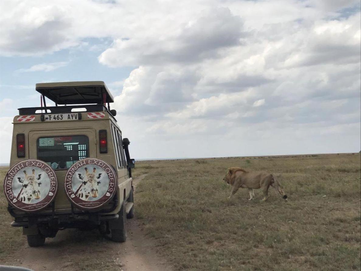 Serengeti Kifaru Tented Lodge Mugumu Eksteriør bilde