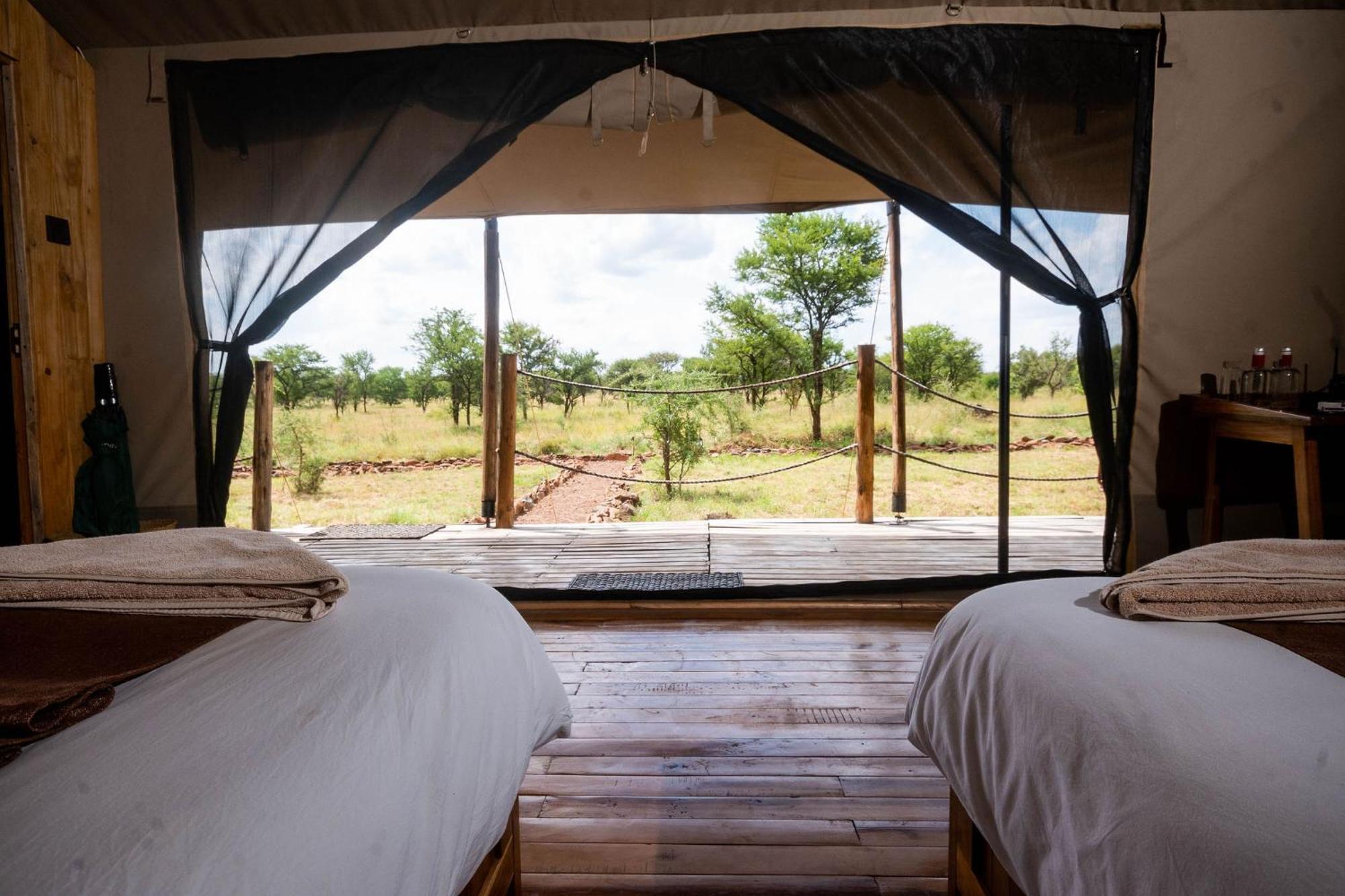 Serengeti Kifaru Tented Lodge Mugumu Eksteriør bilde